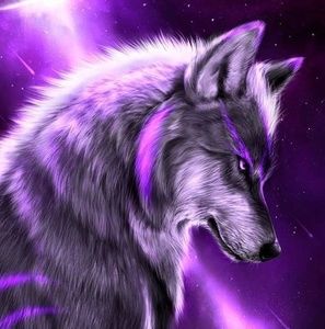 Meet your Posher, Chase